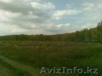 Земля 15,3 ГА около Челябинска. - Изображение #1, Объявление #1196390