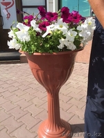 Вазоны с петуниями - Изображение #7, Объявление #1285393