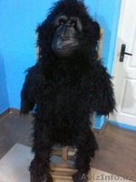 Продам ростовые куклы - Изображение #2, Объявление #1298562