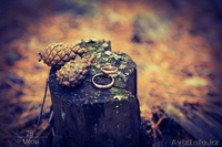 2b video! Фото и видео услуги! Вкусная цена на осень!  - Изображение #2, Объявление #1308144