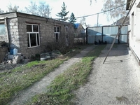 СРОЧНО!!! дом в пос.Жибек-Жолы!!!В связи с отъездом! - Изображение #7, Объявление #1329174