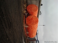 утеплитель POLYNOR - Изображение #5, Объявление #1325041