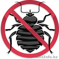 Клопы Уничтожение Дезинсекция - Изображение #1, Объявление #1329798