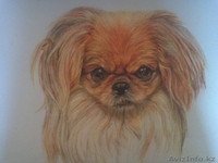 Рисуем на заказ - Изображение #5, Объявление #1362202