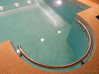 Элитный боди массаж - 40 видов - SPA EUPHORIA (выезд) - Изображение #6, Объявление #1365804