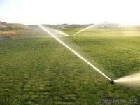 Посадка растений и устройство газонов в вашем саду - Изображение #1, Объявление #1386070