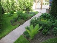 Освещение и автоматические системы полива "HUNTER" - Изображение #1, Объявление #1386071