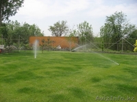 устройство газонов и альпийских горок - Изображение #1, Объявление #1386072