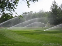 устройство газонов и альпийских горок - Изображение #3, Объявление #1386072