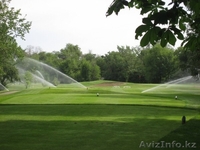 устройство газонов и альпийских горок - Изображение #5, Объявление #1386072