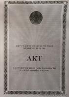 Дача в пригороде(аэропорт),дом зимний(регистрация вБТИ)все насаждения,свет,вода. - Изображение #2, Объявление #1385267