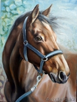 Картины, натюрморты, портреты, пейзажи, абстракции. Не дорого - Изображение #3, Объявление #1382688