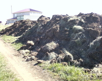 продам или обменяю на дресву - Изображение #1, Объявление #1435726