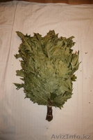 Веники для бани дубовые  - Изображение #2, Объявление #1426794