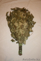 Веники для бани дубовые  - Изображение #5, Объявление #1426794