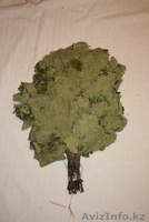 Веники для бани дубовые  - Изображение #1, Объявление #1426794