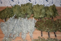 Веники для бани дубовые  - Изображение #6, Объявление #1426794