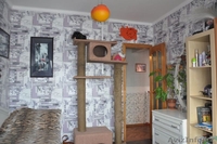 Продаётся четырёхкомнатная квартира. - Изображение #5, Объявление #1456430