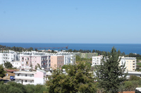 Летние курсы английского языка на острове Кипр - Изображение #4, Объявление #1452712