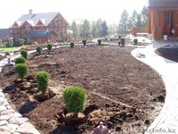 посадка деревьев и кустарников астана - Изображение #1, Объявление #1519344
