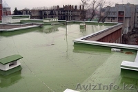 WATERGUM OZONE (Ватергам Озон) - Изображение #2, Объявление #1534898