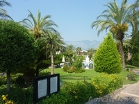 Продажа Недвижимости в Кемере у моря. Вилла купить. Вилла Турция. - Изображение #10, Объявление #1540345