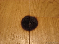 Паркет. Ремонт и реставрация паркета в Астане (Нурсултан) - Изображение #6, Объявление #1479408