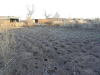 Дом в Арнасай.Вячеславка - Изображение #4, Объявление #1551592