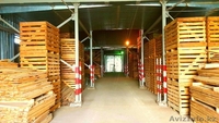 Продается действующий бизнес, овощехранилище - Изображение #2, Объявление #1562101