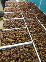 Финики Тунис (Прямые поставки)  - Изображение #4, Объявление #1567127