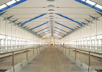 Бетонные щелевые полы - Изображение #4, Объявление #1573712