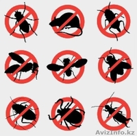 Профессиональная дезинфекция в Астане - Изображение #2, Объявление #1578211