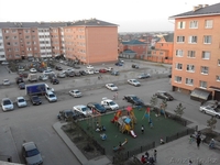 1-комн. квартира для счастливой семейной жизни, вдали от шума, пробок и суеты - Изображение #1, Объявление #1581222