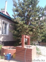 дом Лесозавод - Изображение #1, Объявление #1593339