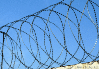 Все виды строительной сетки - Изображение #4, Объявление #1605938