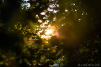 Качественная фото-видеосъемка - быстро, недорого. Вы останетесь довольны! - Изображение #4, Объявление #1023159