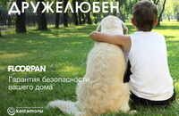 Ламинат Kastamonu Floorpan33 с фаской класс в Астане! - Изображение #1, Объявление #1612194