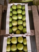 Продам оптом яблоки  - Изображение #1, Объявление #1638714