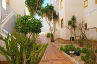 Недвижимость в Испании, Квартира c видами на море в Торревьеха,Коста Бланка - Изображение #5, Объявление #1675939