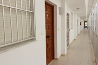 Недвижимость в Испании, Квартира с видами на море в Ла Мата,Коста Бланка,Испания - Изображение #7, Объявление #1675936