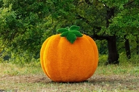 Топиар фигуры от производителя, доставка по всему миру - Изображение #2, Объявление #1690167