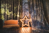 Фотостудия! Фотограф! Новогодняя фотосессия!  - Изображение #7, Объявление #1699428