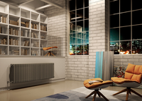 Дизайн радиаторы, внутрипольные и напольные конвекторы. - Изображение #2, Объявление #1705593