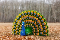 Фигуры от производителя - Изображение #3, Объявление #1705411