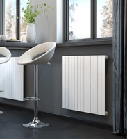 Дизайн радиаторы, внутрипольные и напольные конвекторы. - Изображение #7, Объявление #1705593