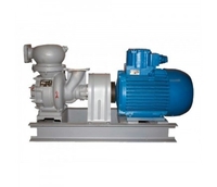 Бензиновый насос СЦЛ-20/24Г - Изображение #2, Объявление #1715538