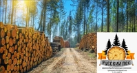 Оптовые продажи пиломатериалов Башкирского леса в г. Белорецк - Изображение #4, Объявление #1727126