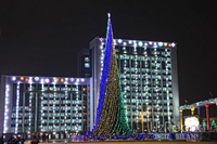  Новый год в Узбекистане - Изображение #2, Объявление #1730016