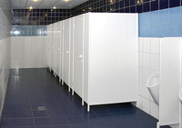 Сантехнические перегородки на заказ - Изображение #1, Объявление #1745279