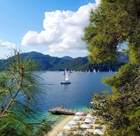 ADL Invest: недвижимость в Турции — быстро, надёжно, под ключ - Изображение #1, Объявление #1752254